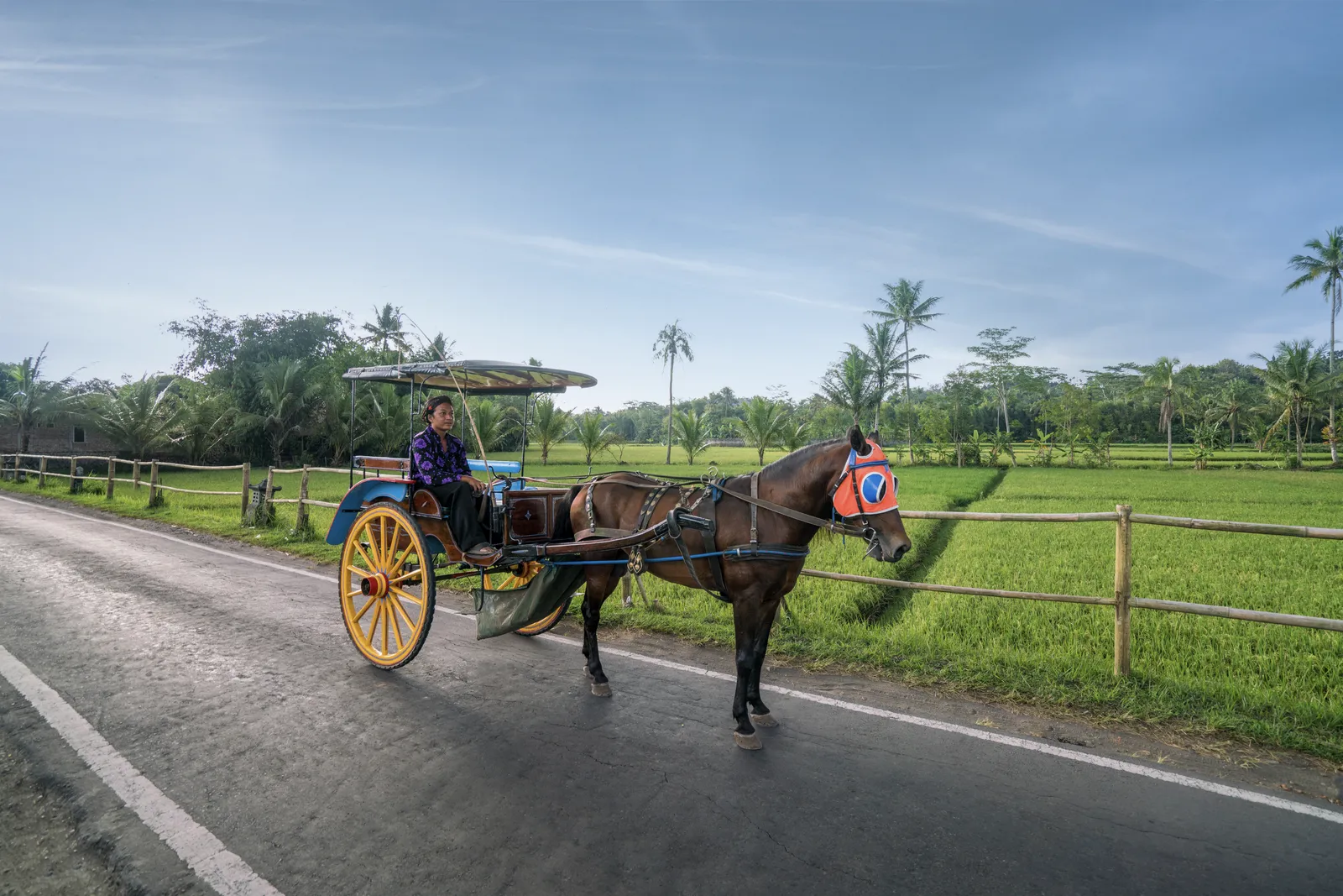 A traditional andong horse-drawn cart, one of Amanjiwo's cultural excursion experiences near Borobudur.