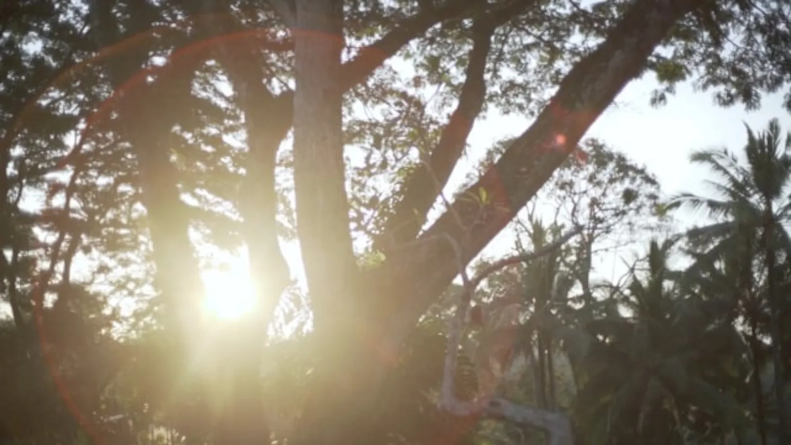 COMO Shambhala Estate — view, press photograph from the official property site