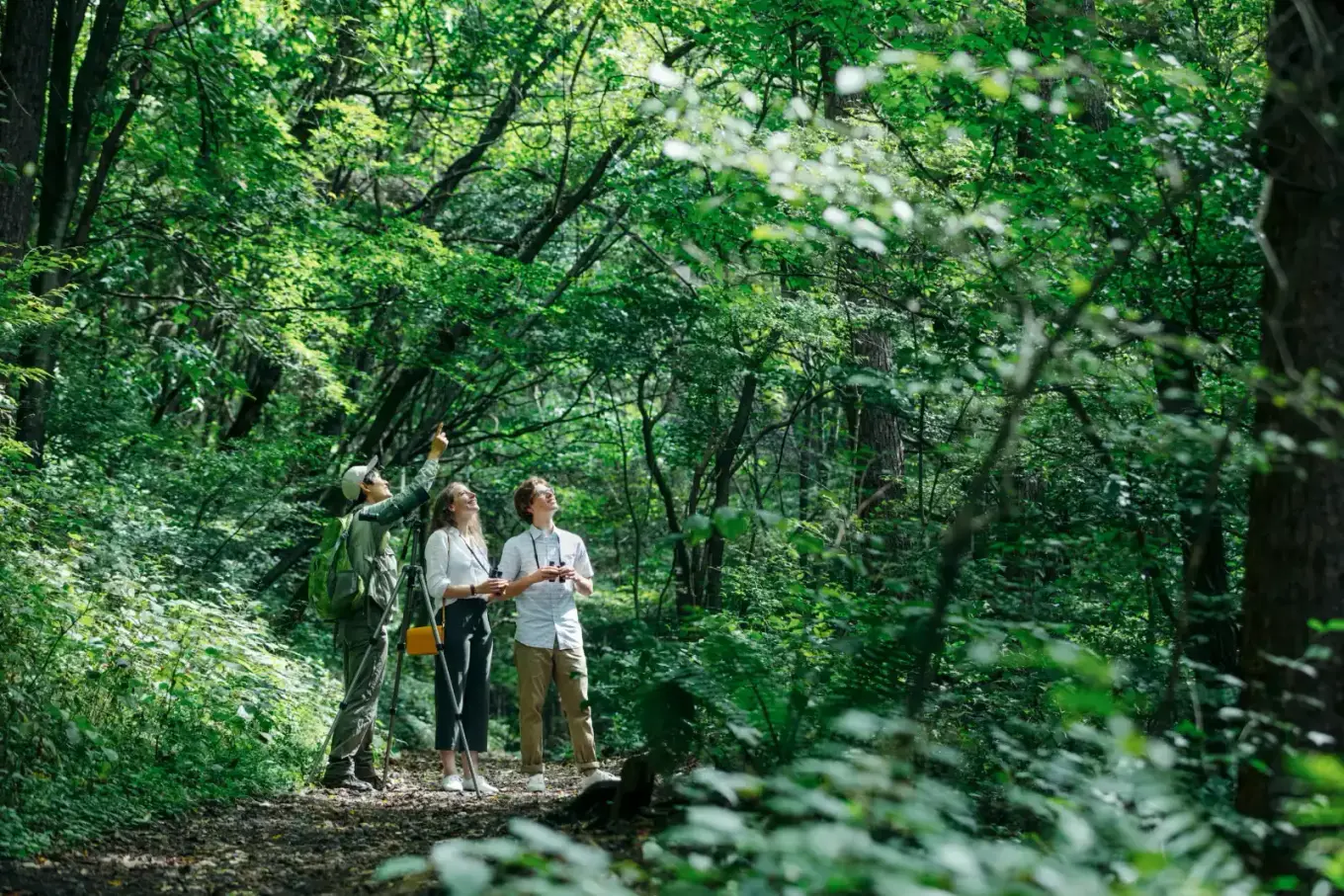 forest activity at Hoshinoya Karuizawa