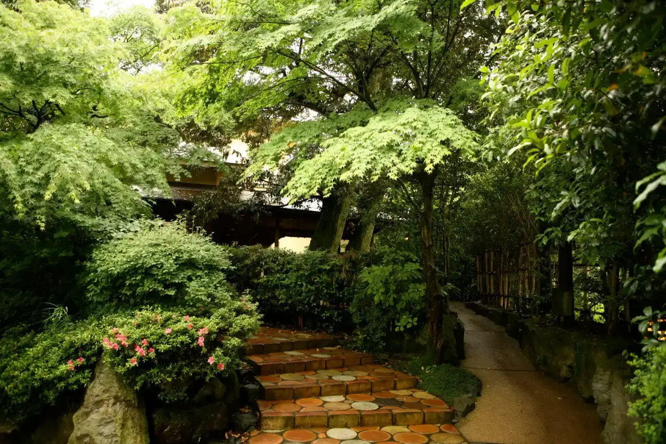 A garden path through the wooded setting of Kayotei ryokan in Yamanaka Onsen.