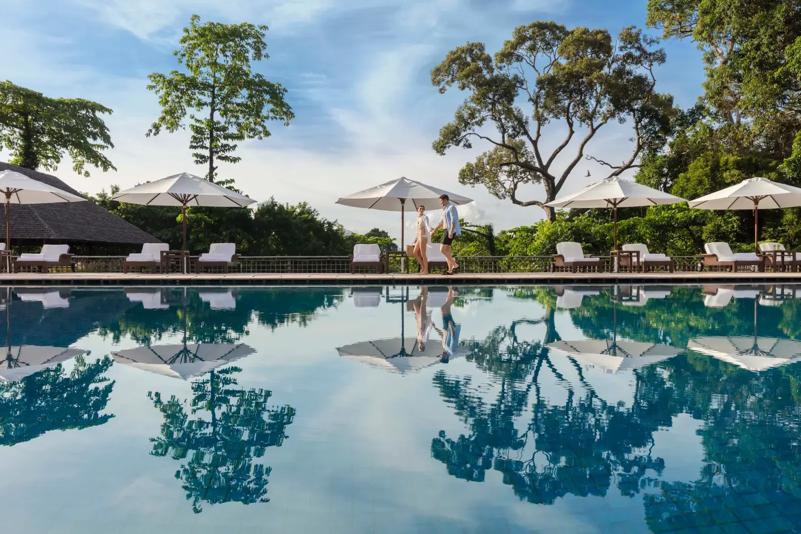 Adult pool at The Datai Langkawi surrounded by rainforest canopy