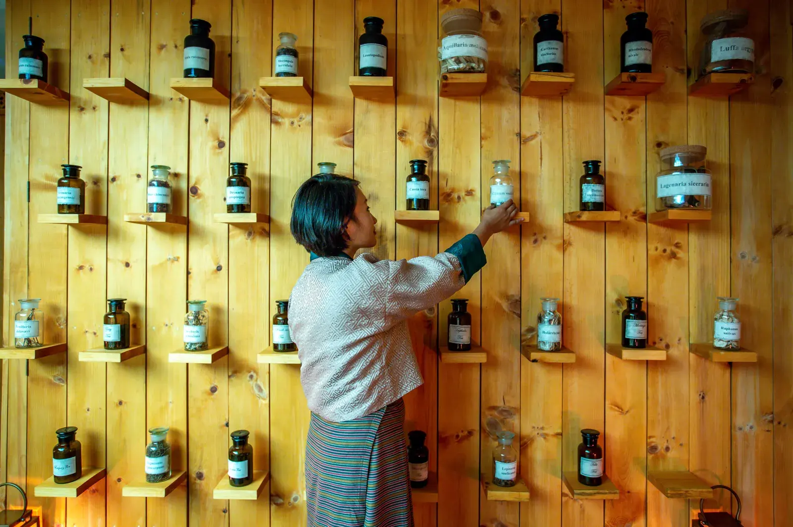 Traditional Bhutanese Medicine apothecary wall of labeled herb jars at Bhutan Spirit Sanctuary, with a practitioner selecting a remedy