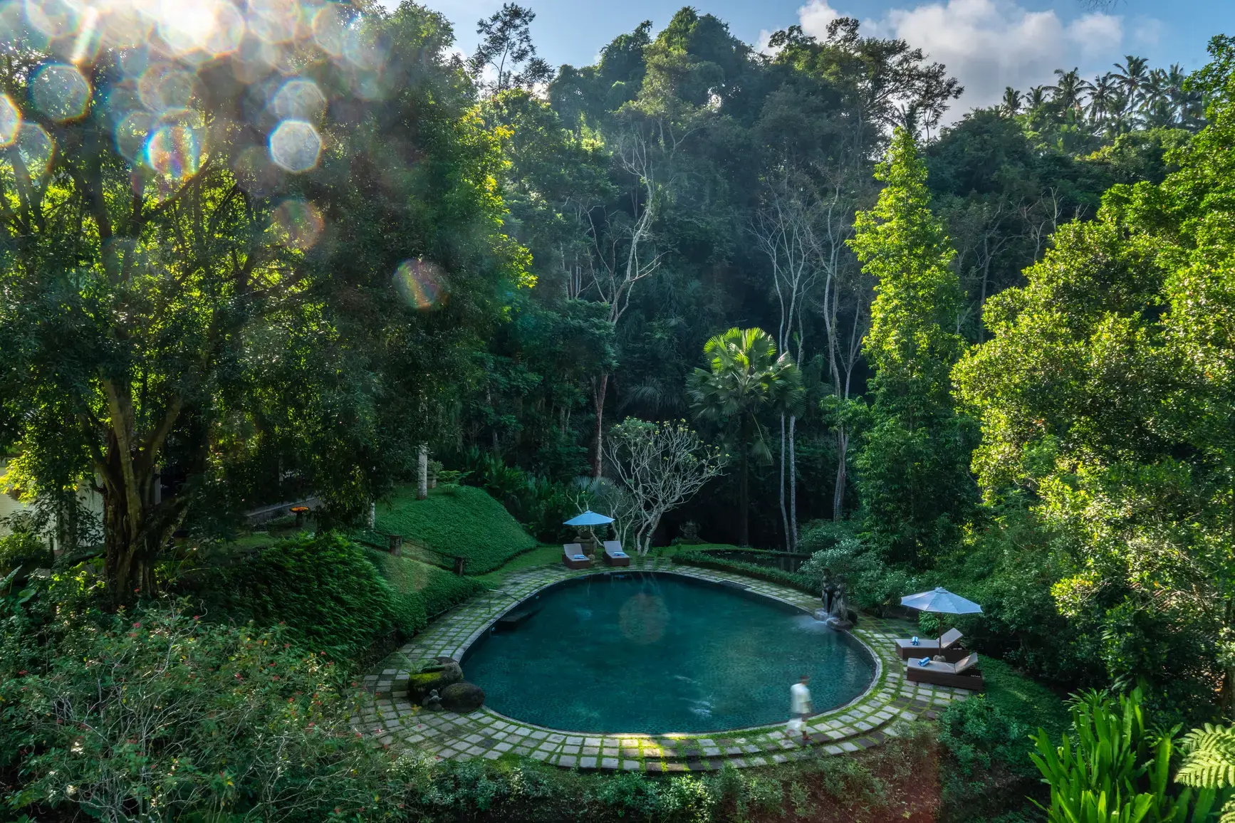 Aerial view of Dua Dari's swimming pool set deep in Ubud jungle canopy
