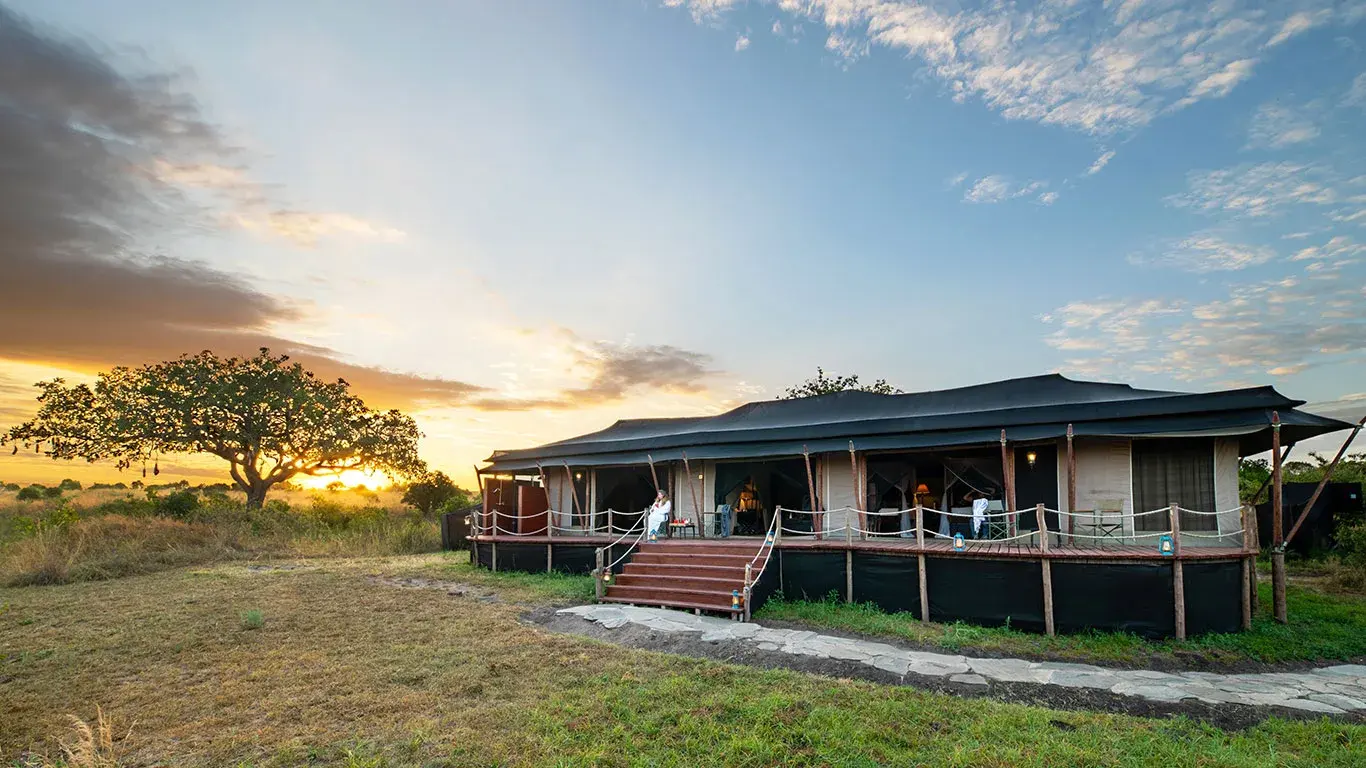 A guest tent at Elewana Sand River Masai Mara at sunset, with an acacia tree silhouetted against the sky.