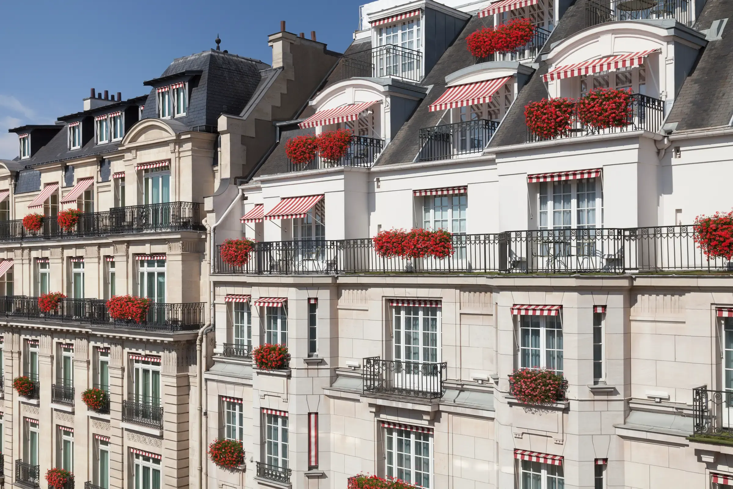 Le Bristol Paris seen across its Faubourg Saint-Honoré facade, with red-and-white striped awnings, window boxes of red geraniums, wrought-iron balconies and grey mansard roofs
