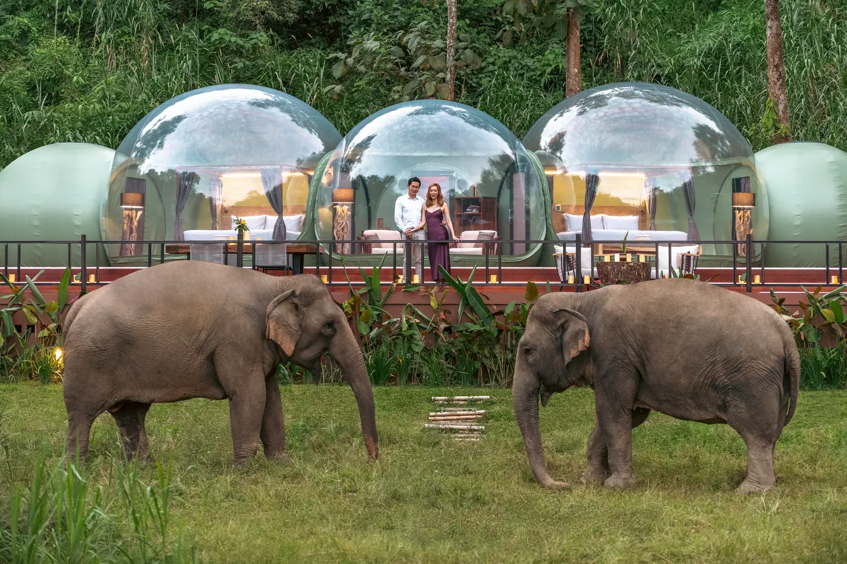 Anantara golden triangle elephant camp thailand elephant bubble tent 01 hero.