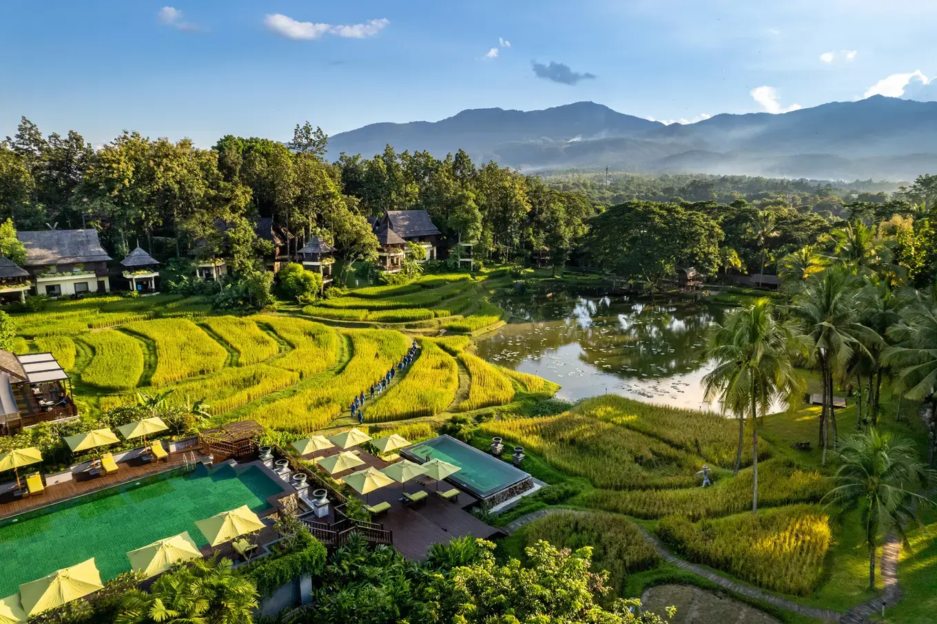 Aerial view of rice terraces surrounding Four Seasons Resort Chiang Mai