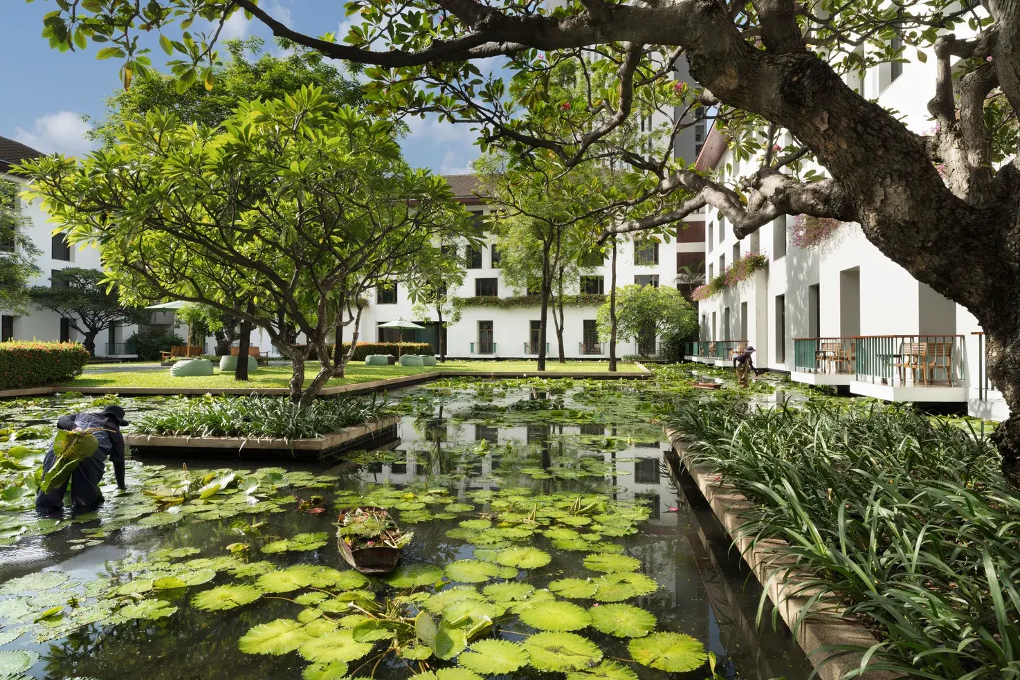 Reflecting lily ponds and colonnaded courtyard at The Sukhothai Bangkok