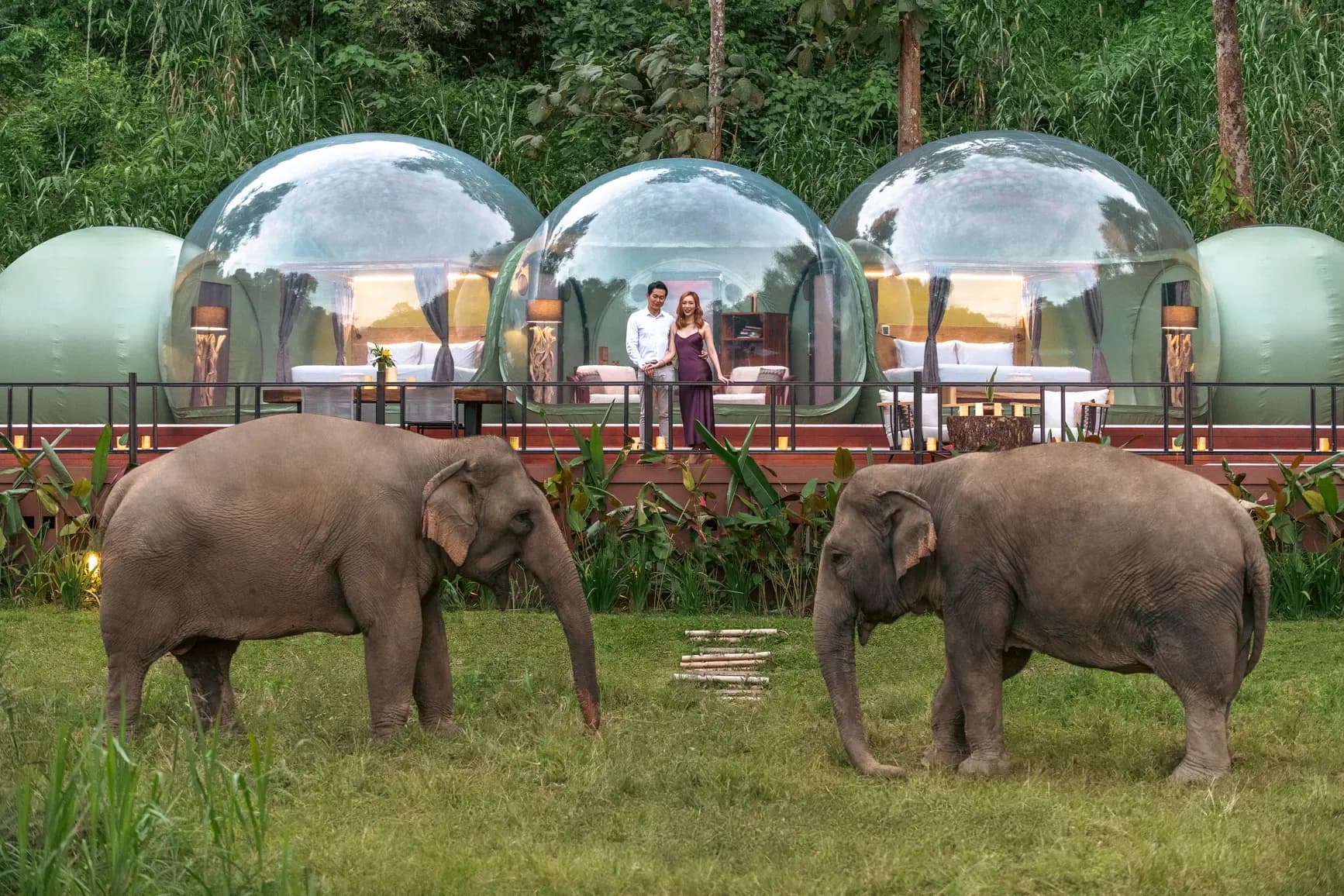 An elephant beside a jungle bubble tent at Anantara Golden Triangle Elephant Camp & Resort